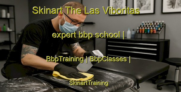 Skinart The Las Viboritas expert bbp school | BbpTraining | BbpClasses | SkinartTraining-Mexico